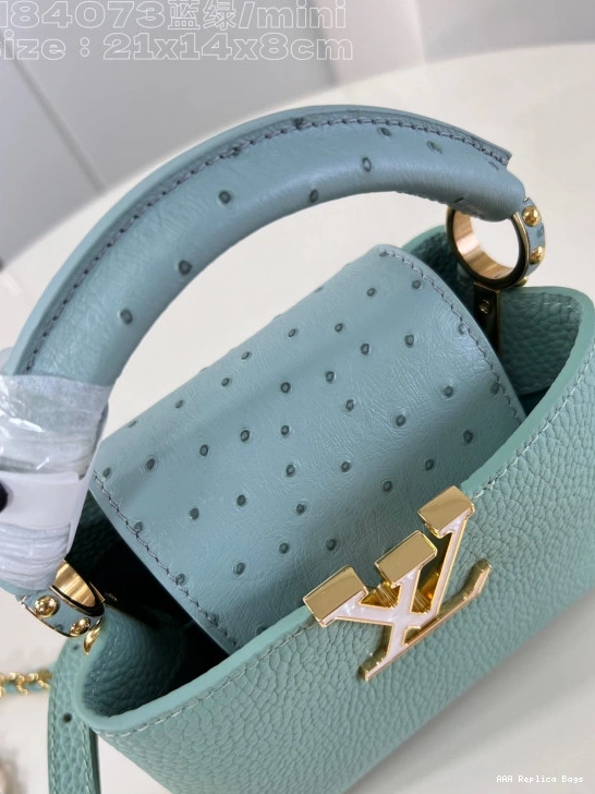 Aaa replica ru LOUIS VUITTON MINI-22*12*8CM CAPUCINES 0713